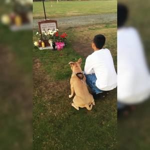 Meet your Posher, Jorge